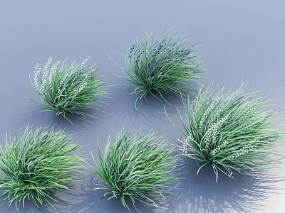 Green Grass Plant Clusters with Small White Purple Flowers on Blue Background 3d model