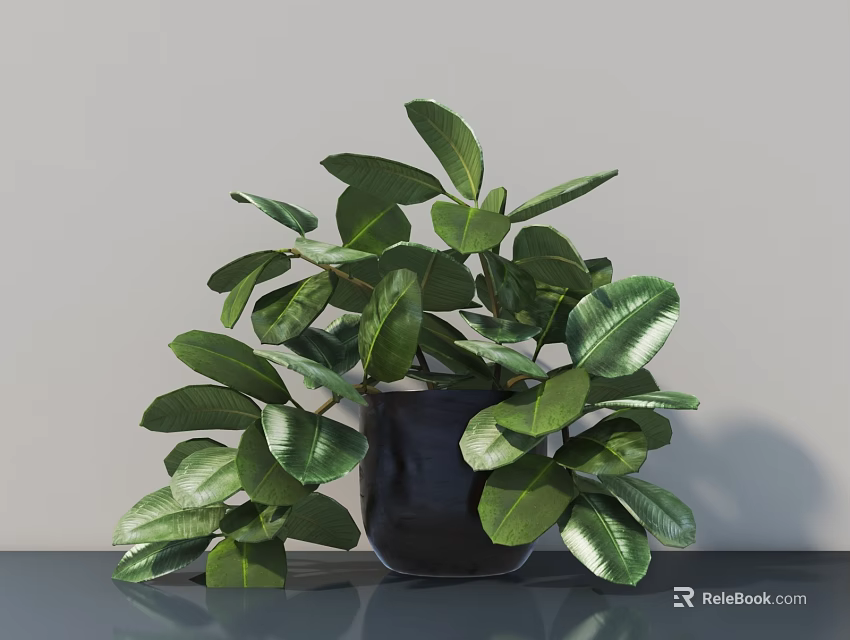 Bonsai Potted Plant With Lush Green Leaves In Black Pot On Tabletop 3d model 