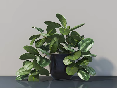 Bonsai Potted Plant With Lush Green Leaves In Black Pot On Tabletop 3d model