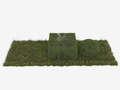 Well Shaped Garden Shrubs In Lush Green Grass Area With Natural Greenery 3d model