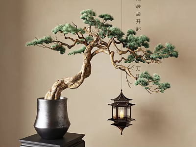 Pine Bonsai Plant In Black Pot Featuring Hanging Lantern On Black Stand Against Light Wall 3d model