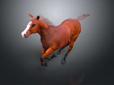 Brown Horse With White Face Mane And Tail Running On Gray Background 3d model