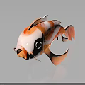 White and Orange Koi Fish with Black Eyes on Black Background Showing Clear Reflection