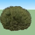 Four Green Round Spherical Bushes Ornamental for Garden Landscaping Design