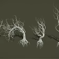 Leafless Trees with Exposed Trunks and Roots Arranged in a Row Against Dark Background 3d model