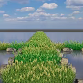 Green Grass And Plants Path In Water With Stones Blue Sky And White Clouds