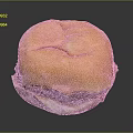 Delicious Grilled Beef Burger With Golden Brown Bun And Fresh Lettuce