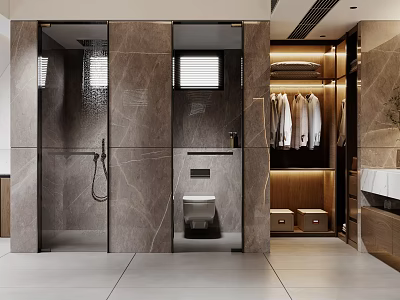 Modern Bathroom Interior Design With Marble Walls Shower Area Toilet And Closet 3d model