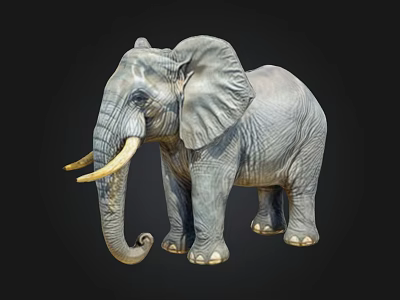 Realistic Gray Elephant With Long Curved Tusks Standing On Black Background 3d model