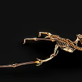 Dinosaur Fossil 4 Pterosaur Dinosaur Skeleton Dinosaur Skeleton 3d model
