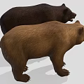 Two Brown and Black Bears Standing with Open Mouths on Gray Background 3d model