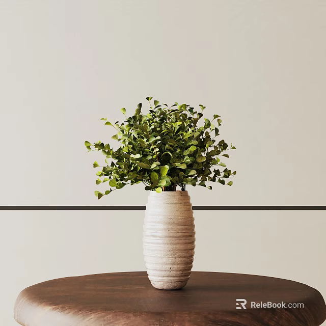 Bonsai Plant in White Textured Vase on Brown Table with Light Wall and Black Line 3d model 