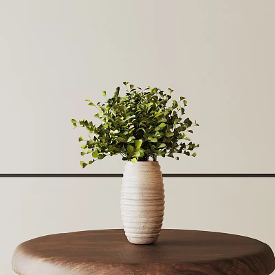 Bonsai Plant in White Textured Vase on Brown Table with Light Wall and Black Line 3d model