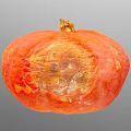 Ripe Orange Pumpkin with Spotted Surface and Stem on Gray Background 3d model
