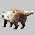 Brown And White Badger With Black Facial Markings Standing On Gray Background