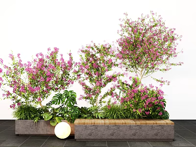 Pink Flowering Plant Combination With Green Foliage In Wooden Stone Planters 3d model