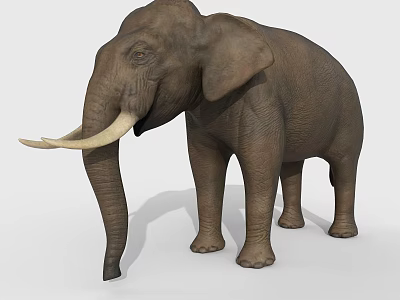 Majestic Reptile Crocodile With Scaly Skin In Natural River Habitat 3d model