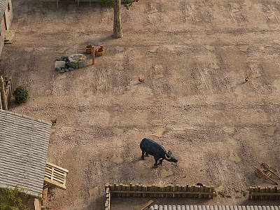 Rural Garden Landscape With Black Buffalo Wooden Fence Tree And Dirt Ground 3d model