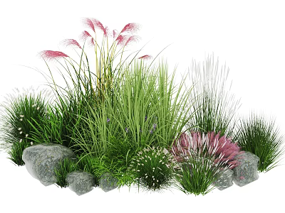 Garden Plant Combination with Various Green Grasses Pink Feathery Plants and Stones 3d model