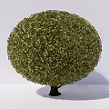 Pruned Green Shrubs with Round Square and Low Rectangular Shapes for Garden Landscape Design 3d model