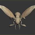 Detailed 3D Insect Model With Transparent Wings And Clear Body Structure