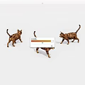 Three Adorable Tiger Striped Cats Walking Together On White Background
