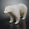 White Polar Bear 3D Model Standing On Black Background With Detailed Fur Texture