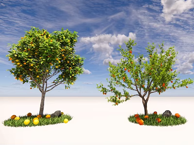 Fruit Trees With Yellow And Red Fruits On Grass With Stones Under Blue Sky 3d model