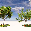 Fruit Trees With Yellow And Red Fruits On Grass With Stones Under Blue Sky