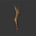 Pterosaur 3D Model With Large Orange Wings Spread On Dark Surface Showing Reflection