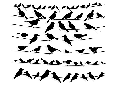 Multiple Bird Silhouettes Perched on Wires with Black Outline Design 3d model
