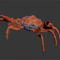 Realistic Orange Crab With Large Claws Detailed Legs On Dark Shiny Surface
