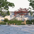 Lush Garden Flowers And Plants With Green Trees Red Maple Stone Rocks And Slate Pathway