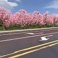 Scenic Road Facilities With Cherry Blossom Trees Signpost Street Lamps Road Arrows And Sea View