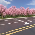 Country road trees cherry trees golden leaf elm rose road aerial view 3d model