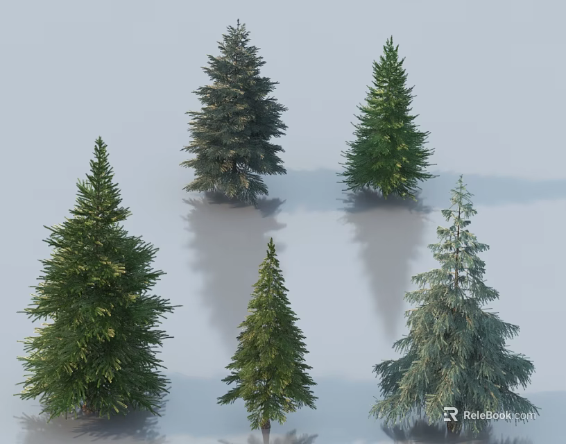 Arbor Trees Collection with Various Evergreen Species and Shapes for Landscaping Projects 3d model 