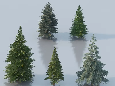 Arbor Trees Collection with Various Evergreen Species and Shapes for Landscaping Projects 3d model