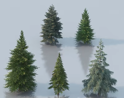 Arbor Trees Collection with Various Evergreen Species and Shapes for Landscaping Projects 3d model