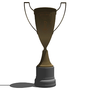 Modern trophy ornaments 3d model