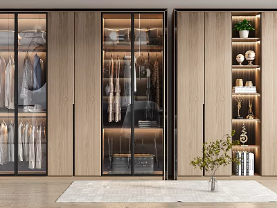 Modern Wardrobe Design With Glass Doors Wooden Cabinets And Storage Areas 3d model