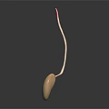 Sleek Beige Spoon With Red Handle Tip Displayed On Black Background Showing Reflection