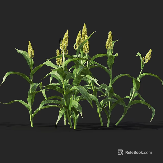 Herbaceous Plants With Green Leaves And Yellow Spikes In Natural Growth State 3d model 