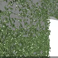 Lush Green Vine Wall Featuring Vertical Plant Sections Separated By White Columns 3d model