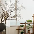 Home Balcony Design With Green Plants Blooming Flowers Wooden Shelves Light Curtains And Large Window