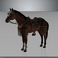 Medieval Rider With Brown Horse In Ornate Tack Saddle Bridle And White Legs