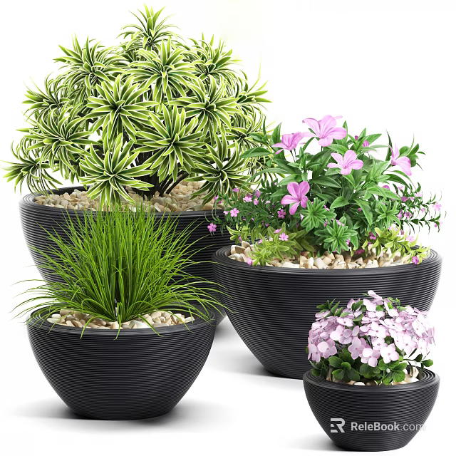 Bonsai Potted Plants with Various Green Leaves Purple Pink Flowers in Black Pots and Pebbles 3d model 