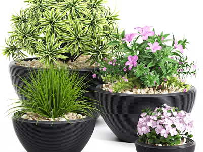 Bonsai Potted Plants with Various Green Leaves Purple Pink Flowers in Black Pots and Pebbles 3d model