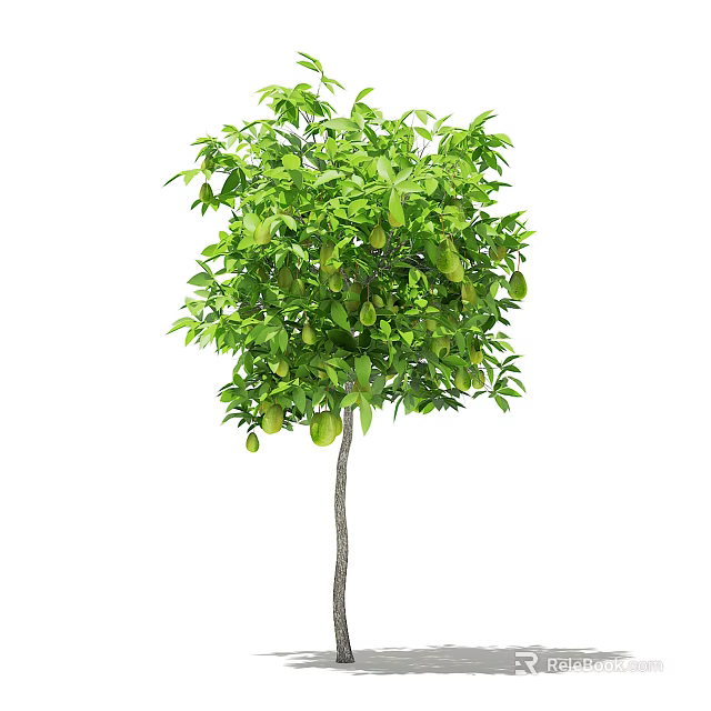 Vibrant Green Arbor Featuring Lush Foliage And Fresh Fruits On Slender Trunk 3d model 