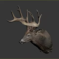 Realistic Deer Taxidermy Head Featuring Large Antlers On Dark Background