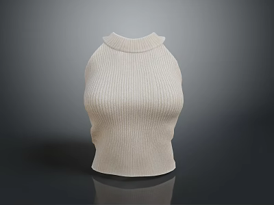 Cream Colored High Neck Sleeveless Knitted Top With Fine Texture And Slim Tailoring 3d model